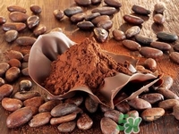 ��ʳ����Ի�ױ��?ʳ�ﻯױ����ѧ